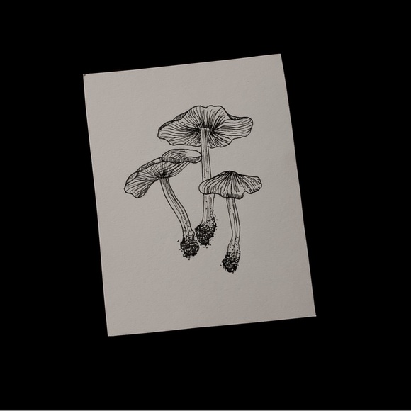 mushroom drawing - Picture 2 of 2